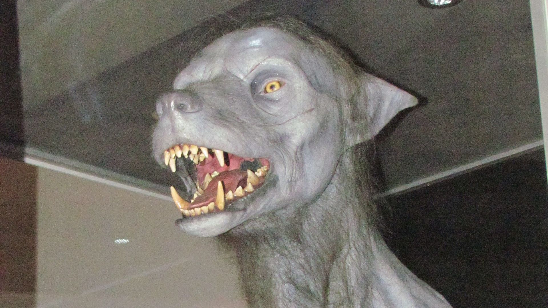 File:Werewolf (Harry Potter).jpg