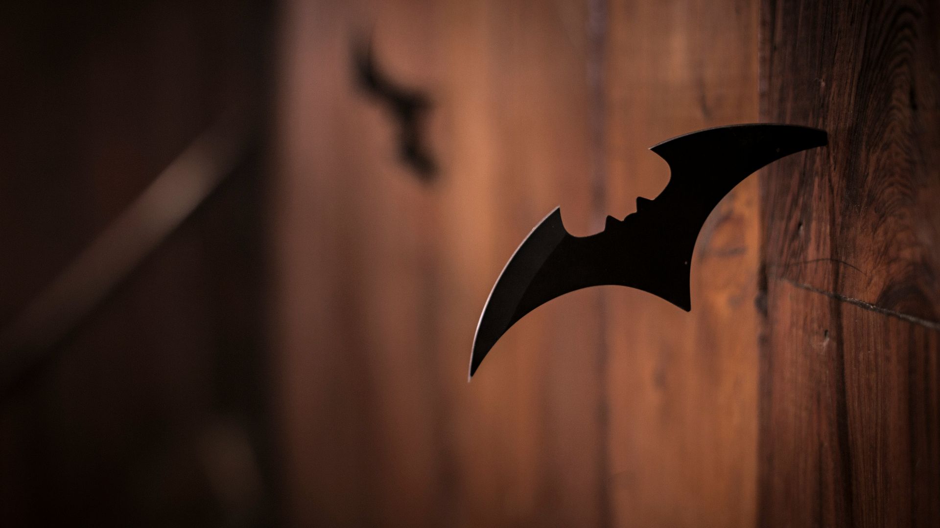 closeup photo of shuriken on wood