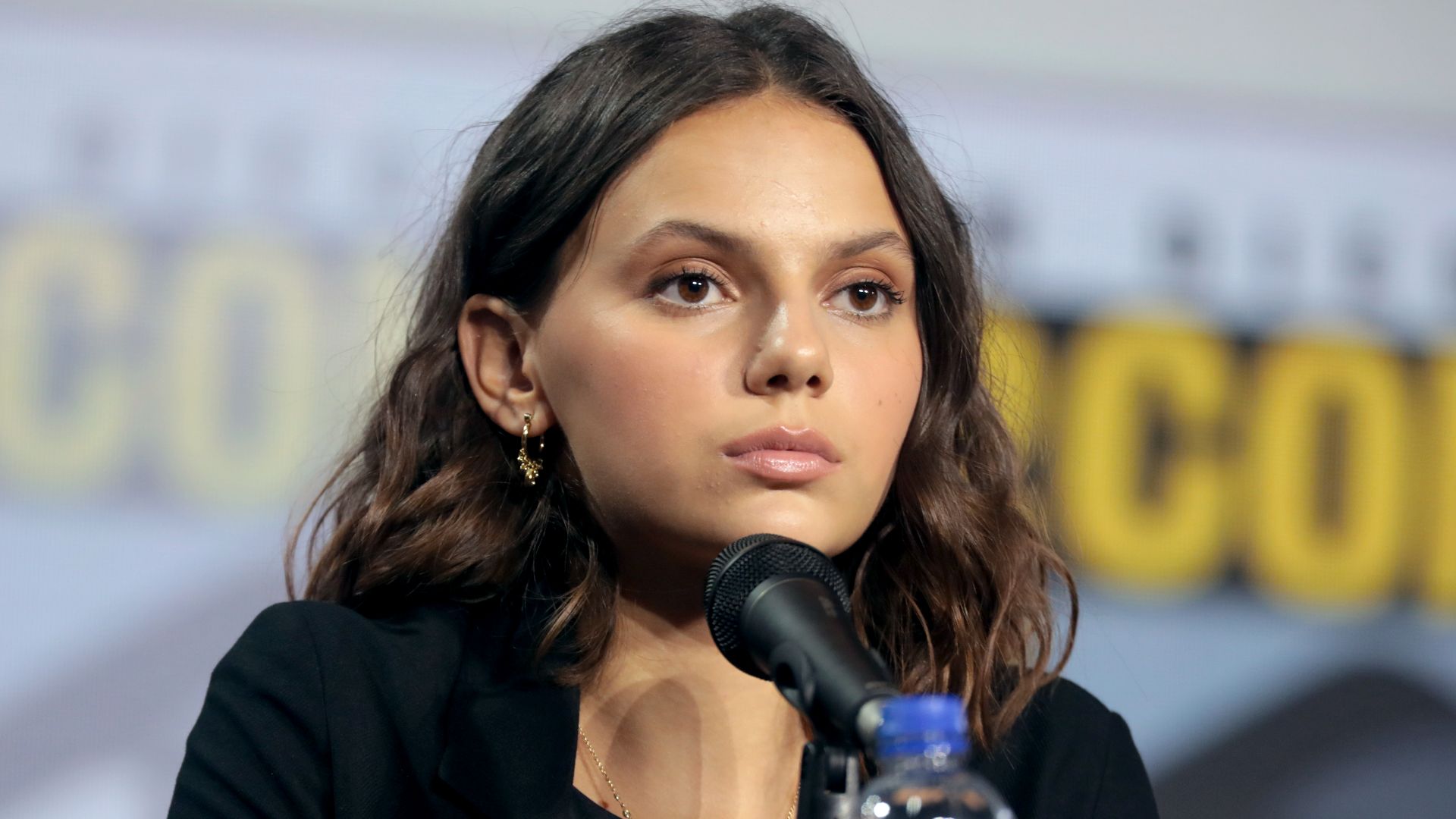 File:Dafne Keen (48383778052).jpg