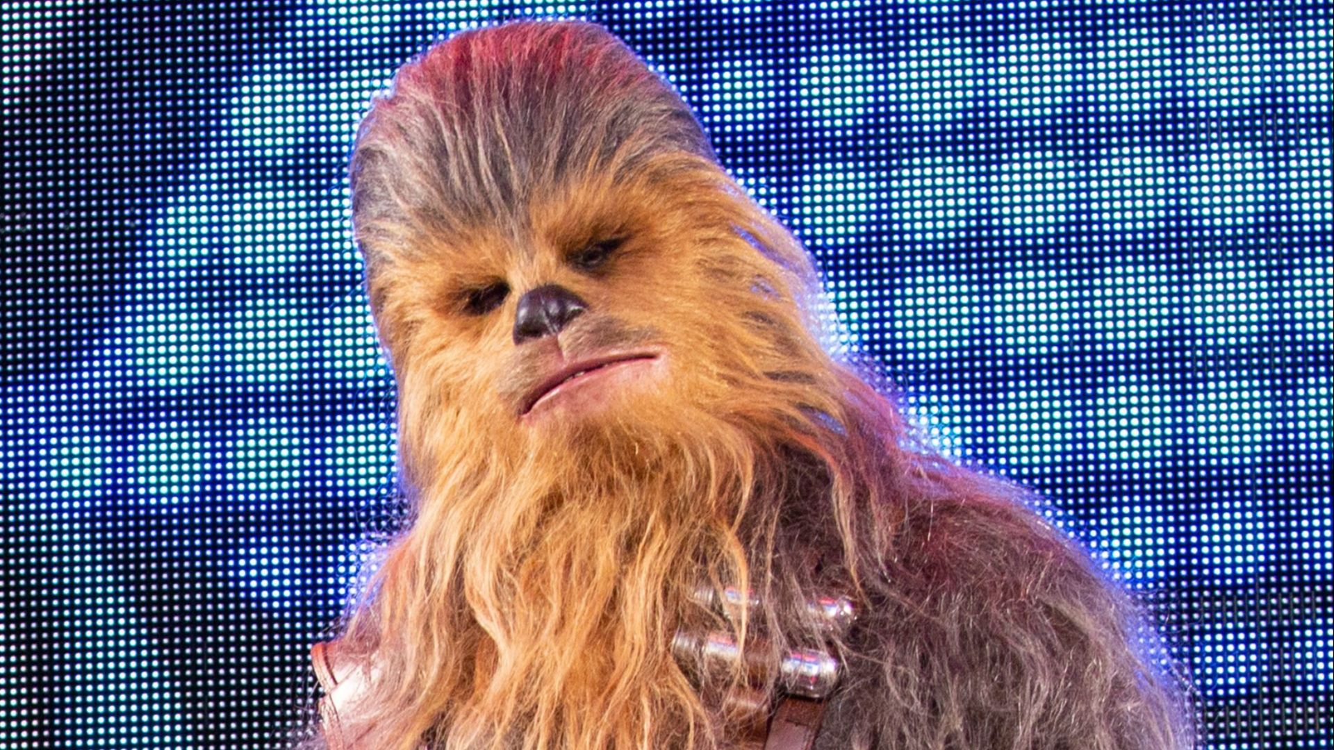 File:Solo- A Star Wars Story Japan Premiere Red Carpet- Chewbacca.jpg