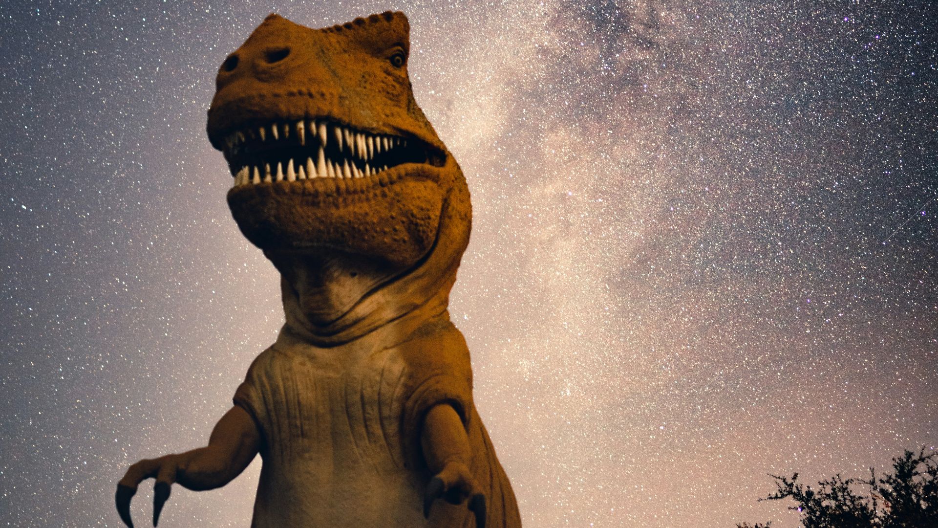 brown statue under starry night