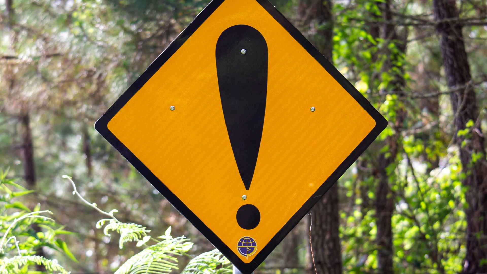 yellow and black road sign