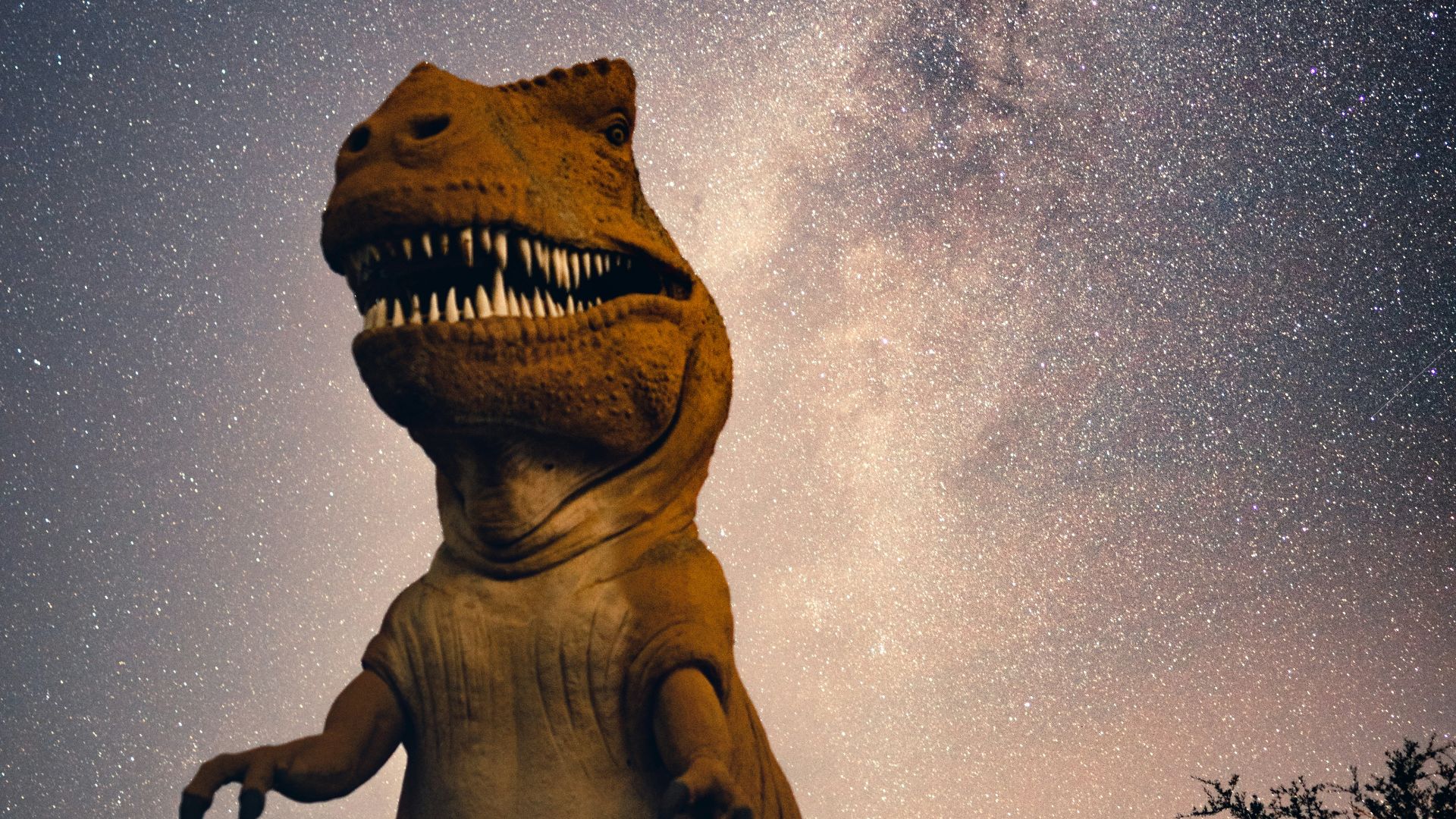 brown statue under starry night