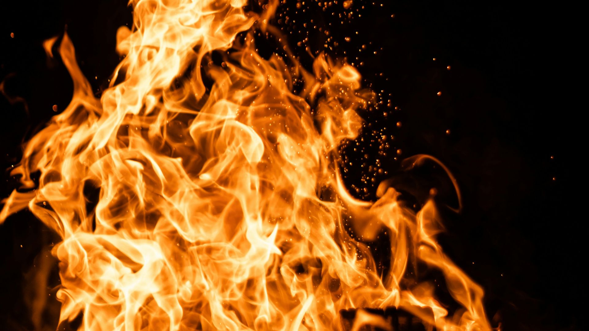 fire in the dark during night time