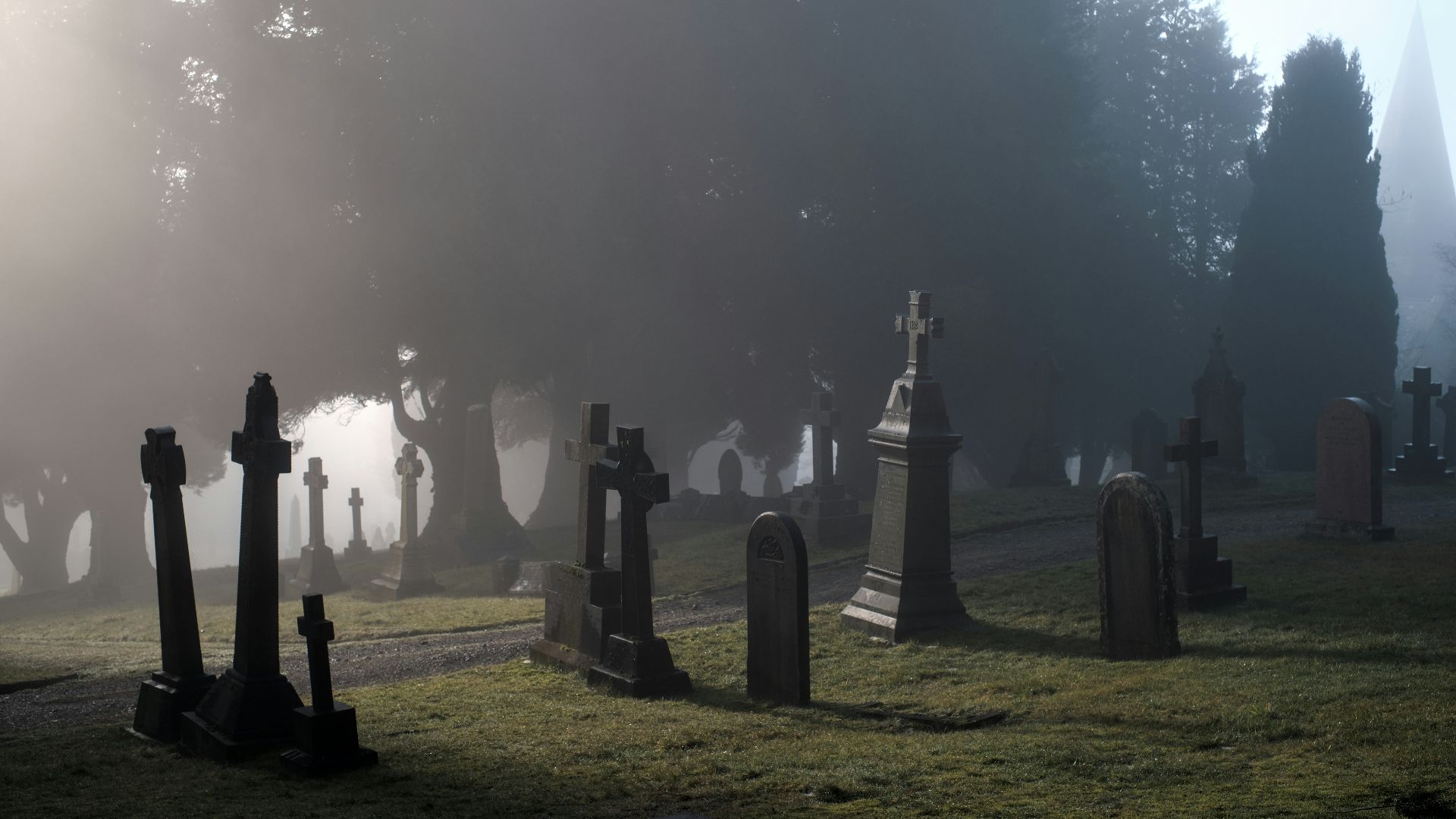 a foggy graveyard with tombstones in the foreground