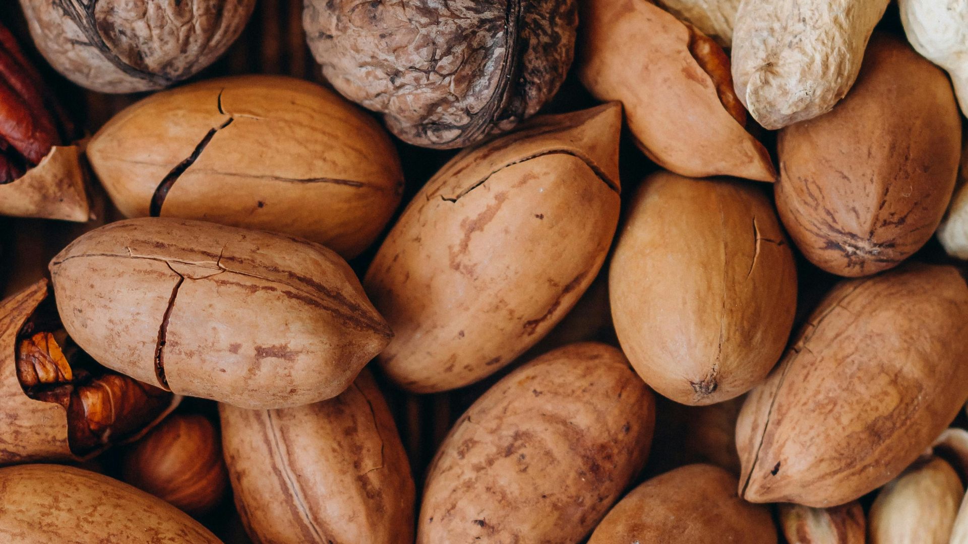 brown and beige nut lot