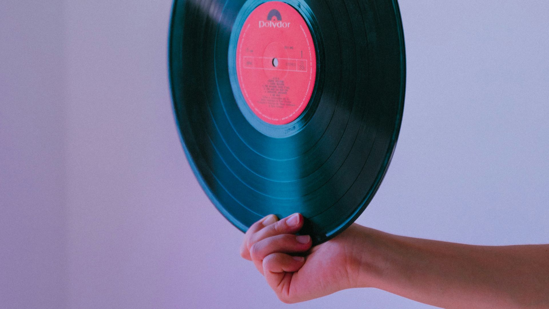 person holding vinyl record