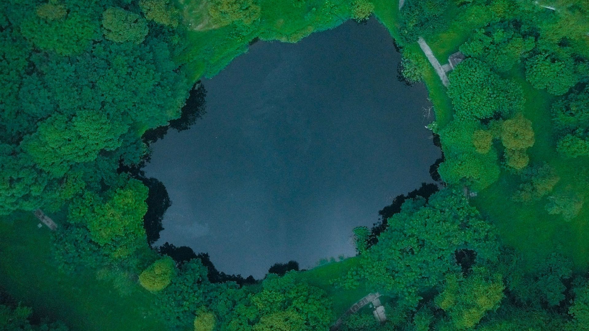 aerial photo of a body of water between trees