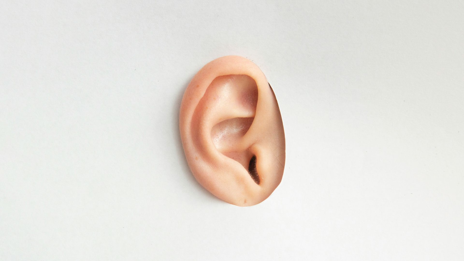 brown donut on white table