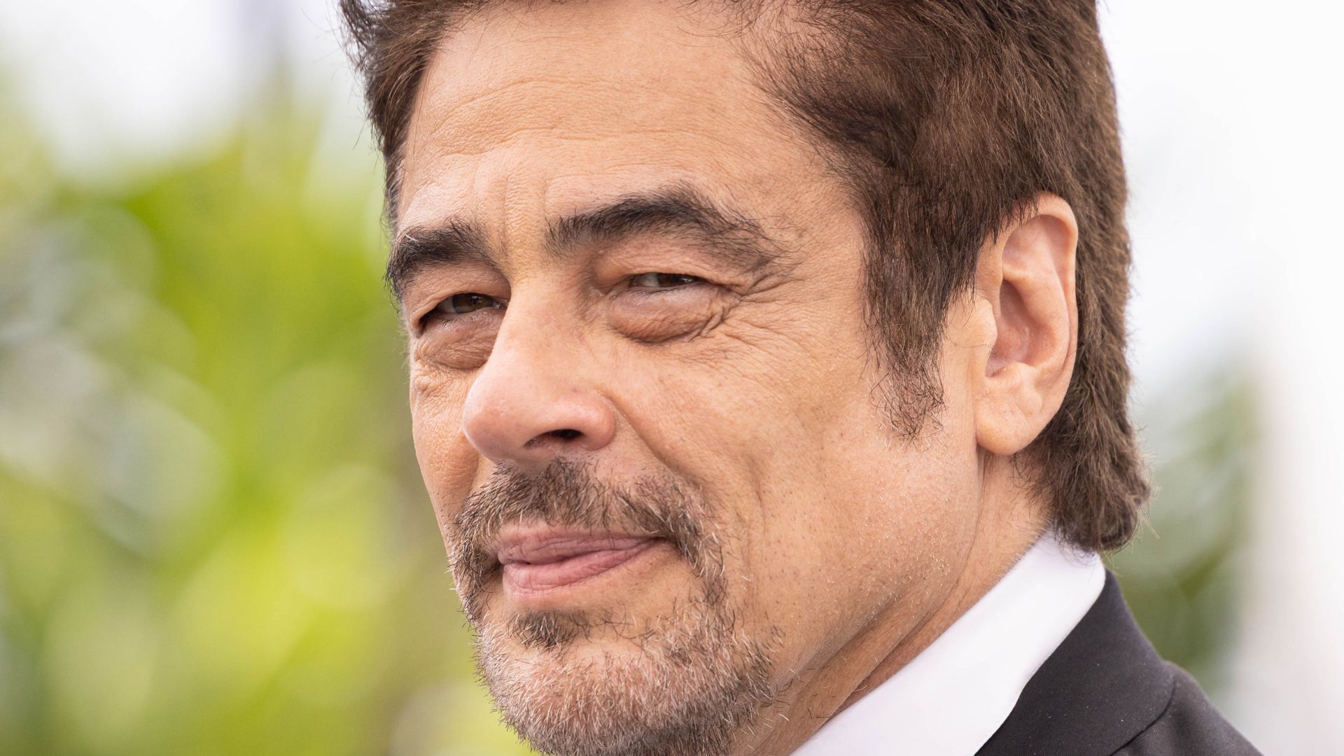 File:Benicio del Toro-7624.jpg