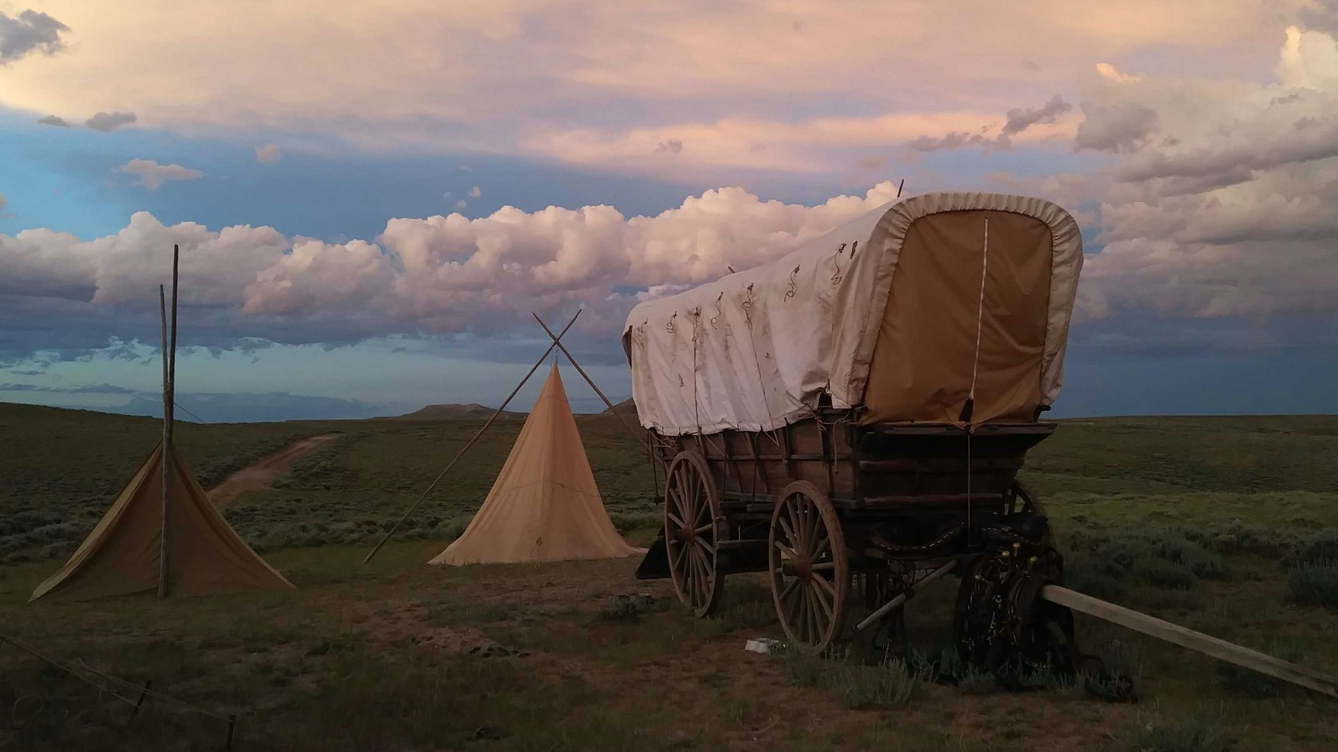 white and black carriage on green grass field under white clouds and blue sky during daytime