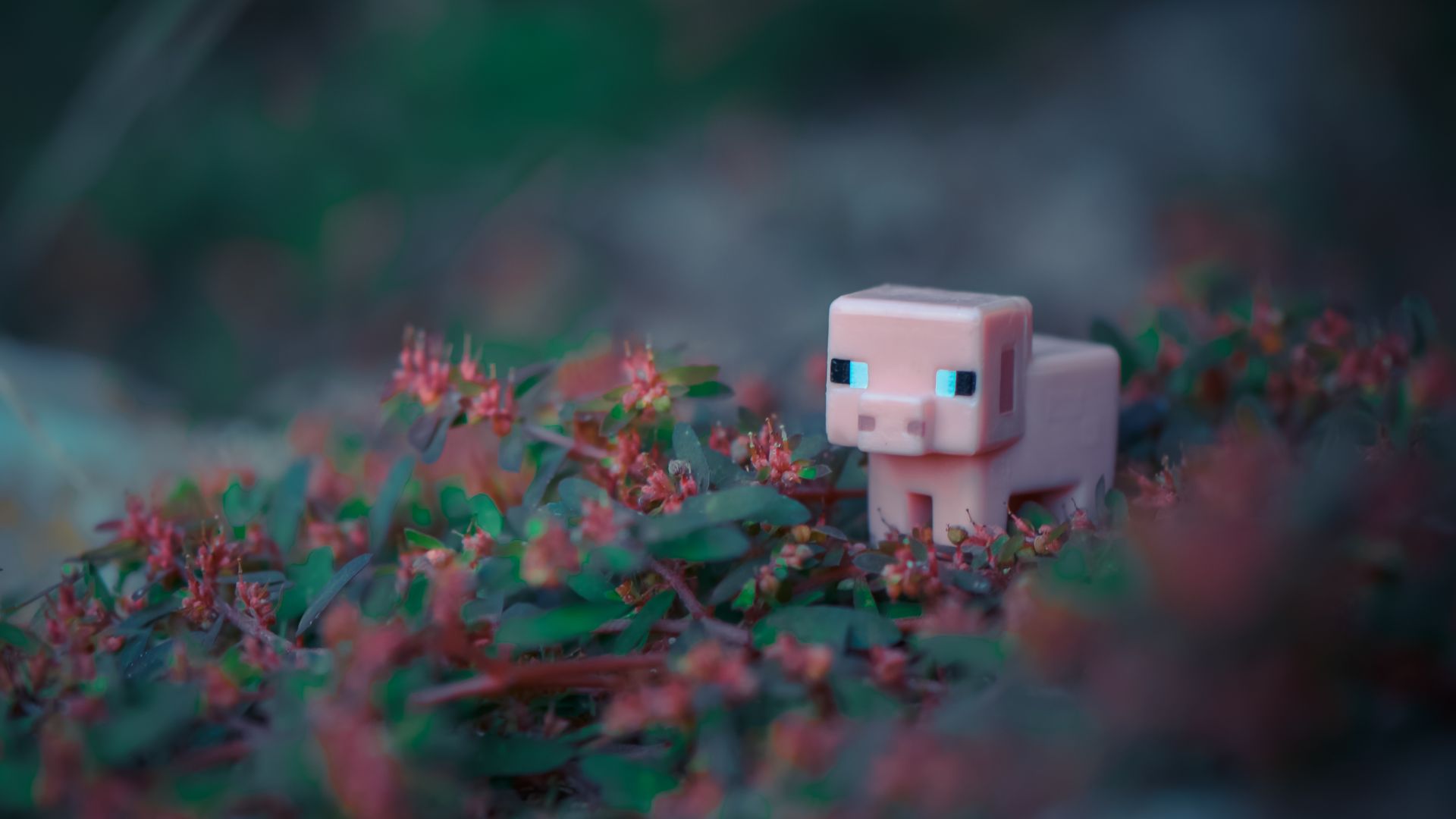 File:Minecraft pig (15735062557).jpg