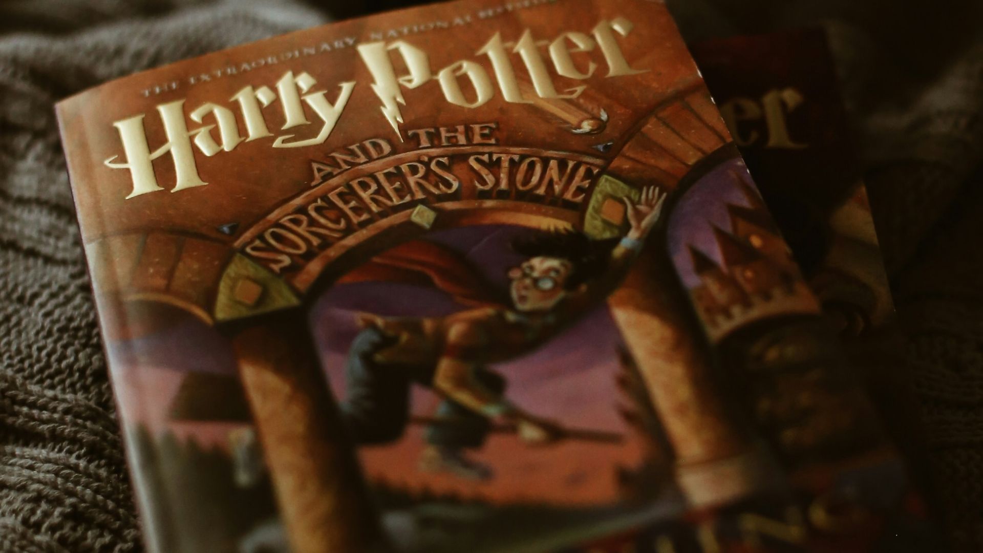 the lion king book on black textile