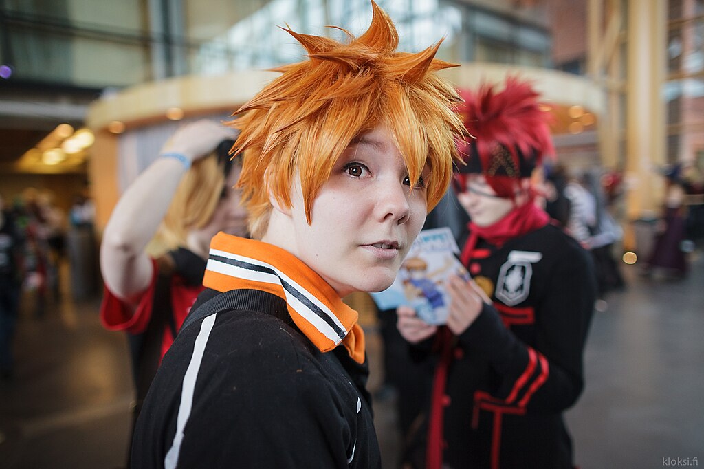 1024px-20140215-IMG_4045_-_Desucon_Frostbite_2014_-_clogz.jpg
