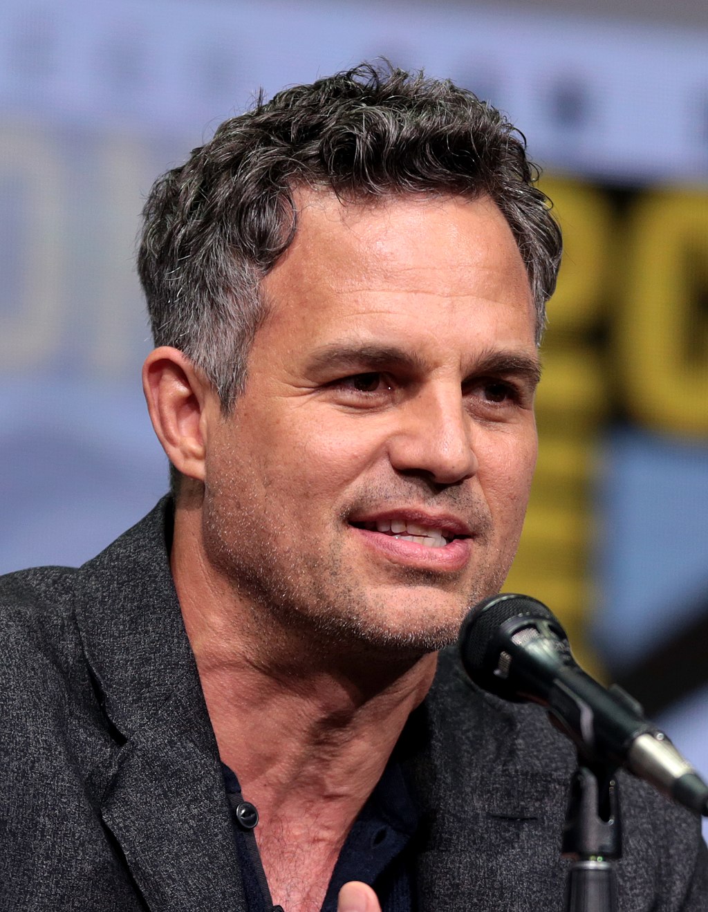 1024px-markruffalo36243137665cropped.jpg
