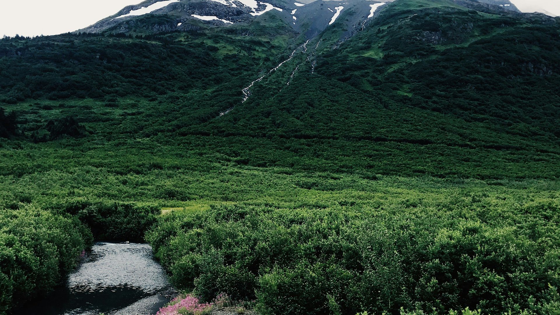 17387731445f77f0e571779c6a2cfc493d04da7262344c34f7-2.jpg