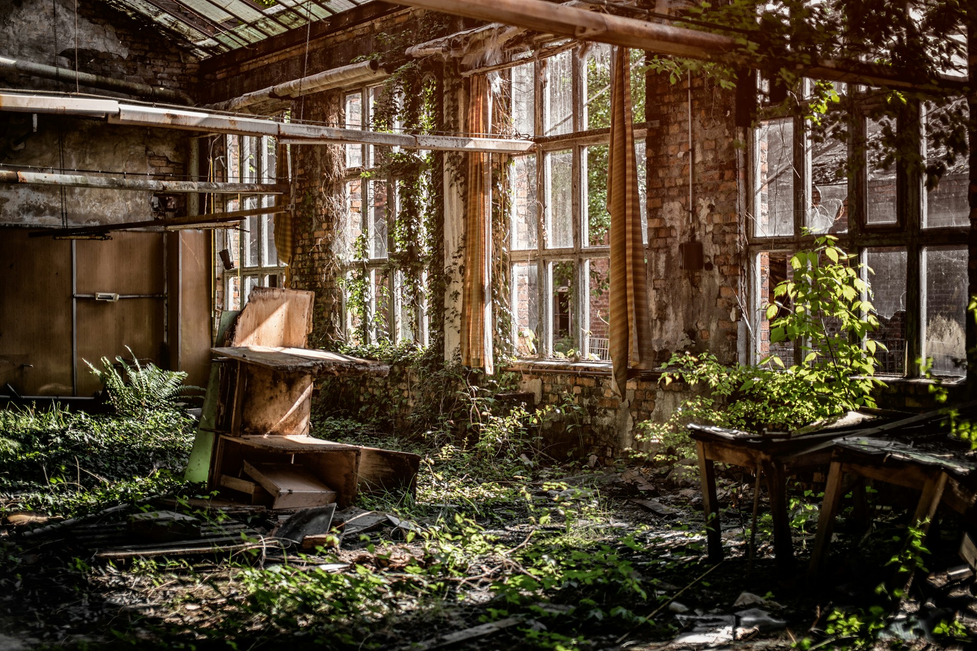 denny-muller-t6ytLFY6cQU-unsplash-2.jpg