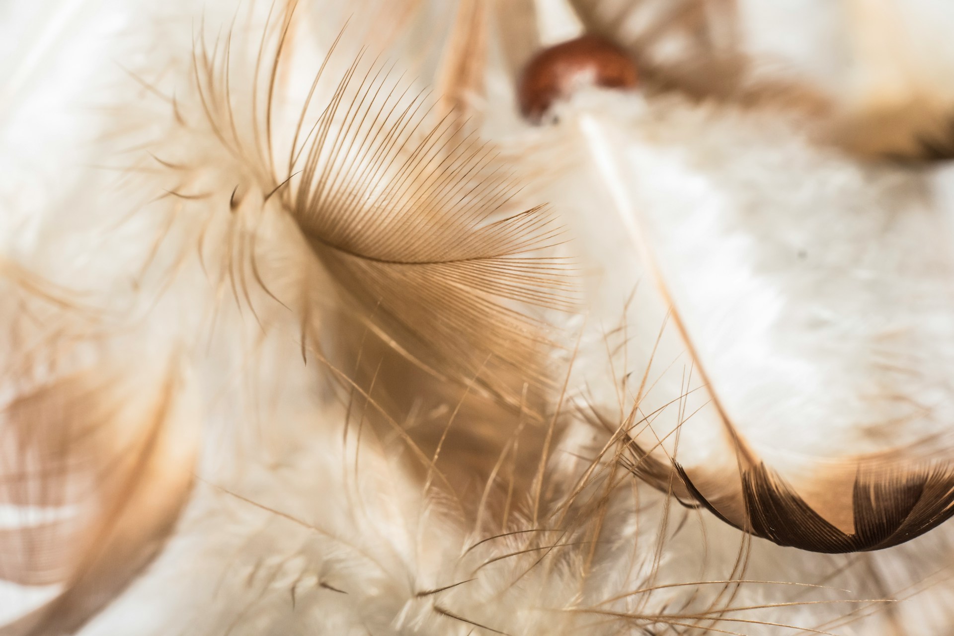 julian-hanslmaier-lYMbHxtntRo-unsplash-1.jpg