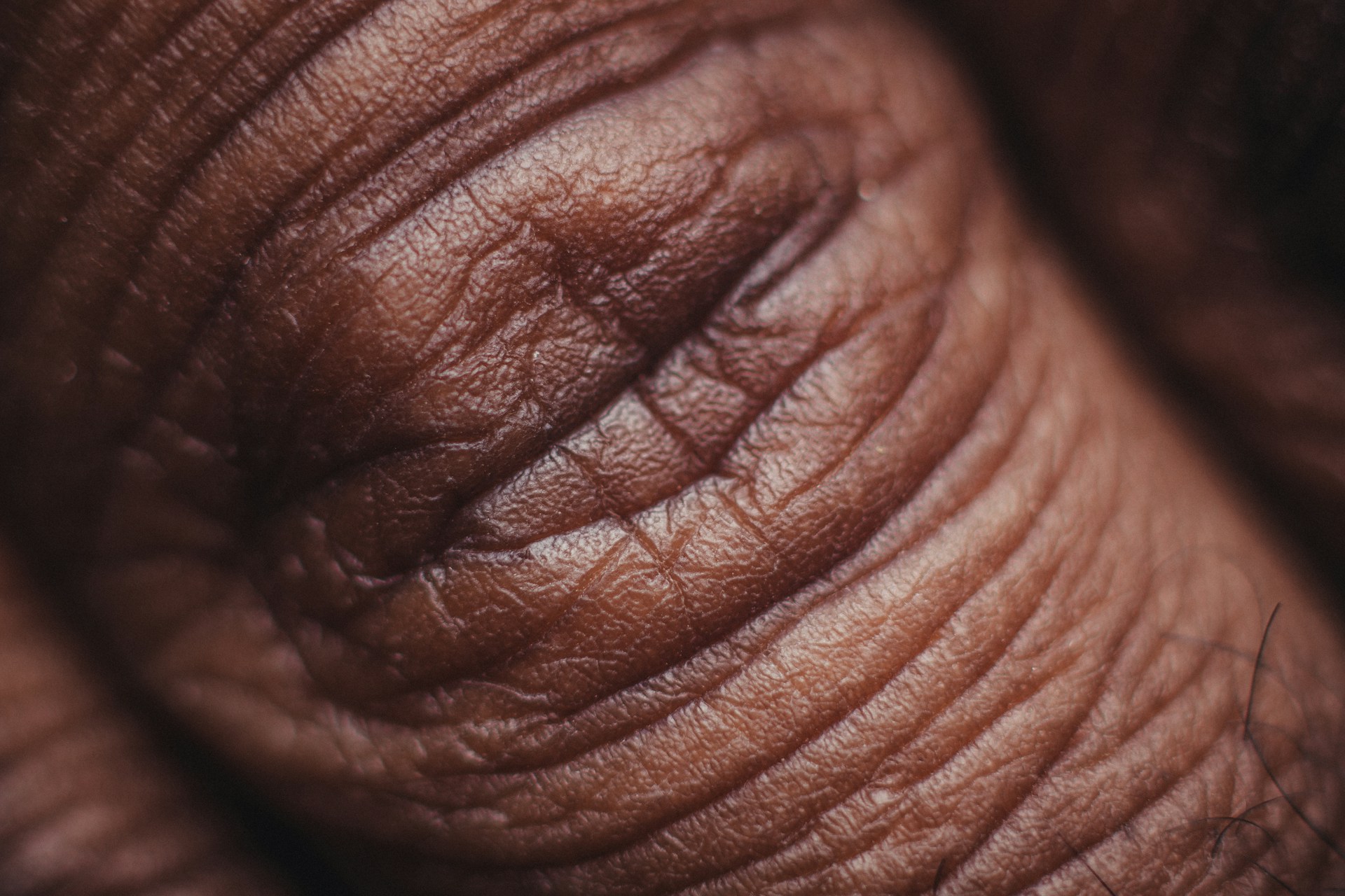 nsey-benajah-RBzm131cMHk-unsplash-1.jpg