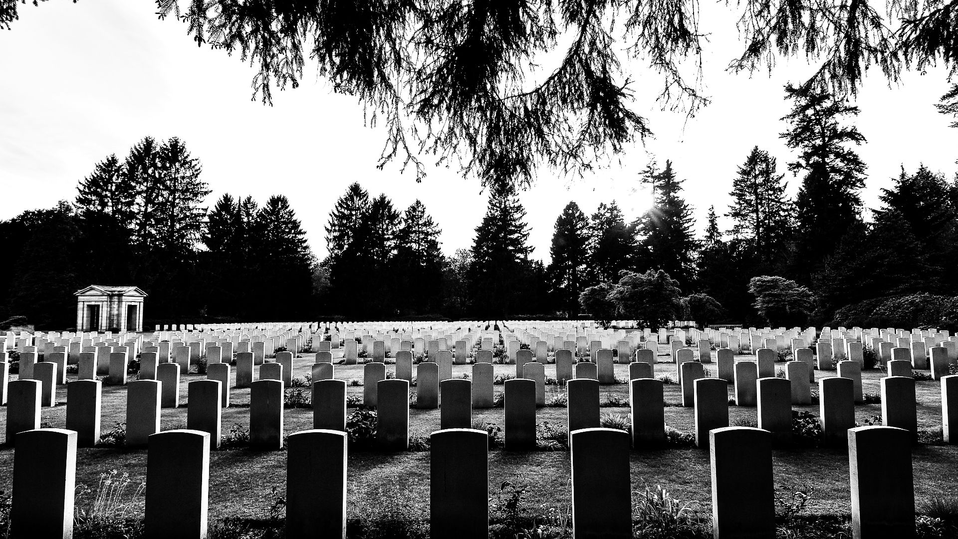 grayscale photography of cemetery