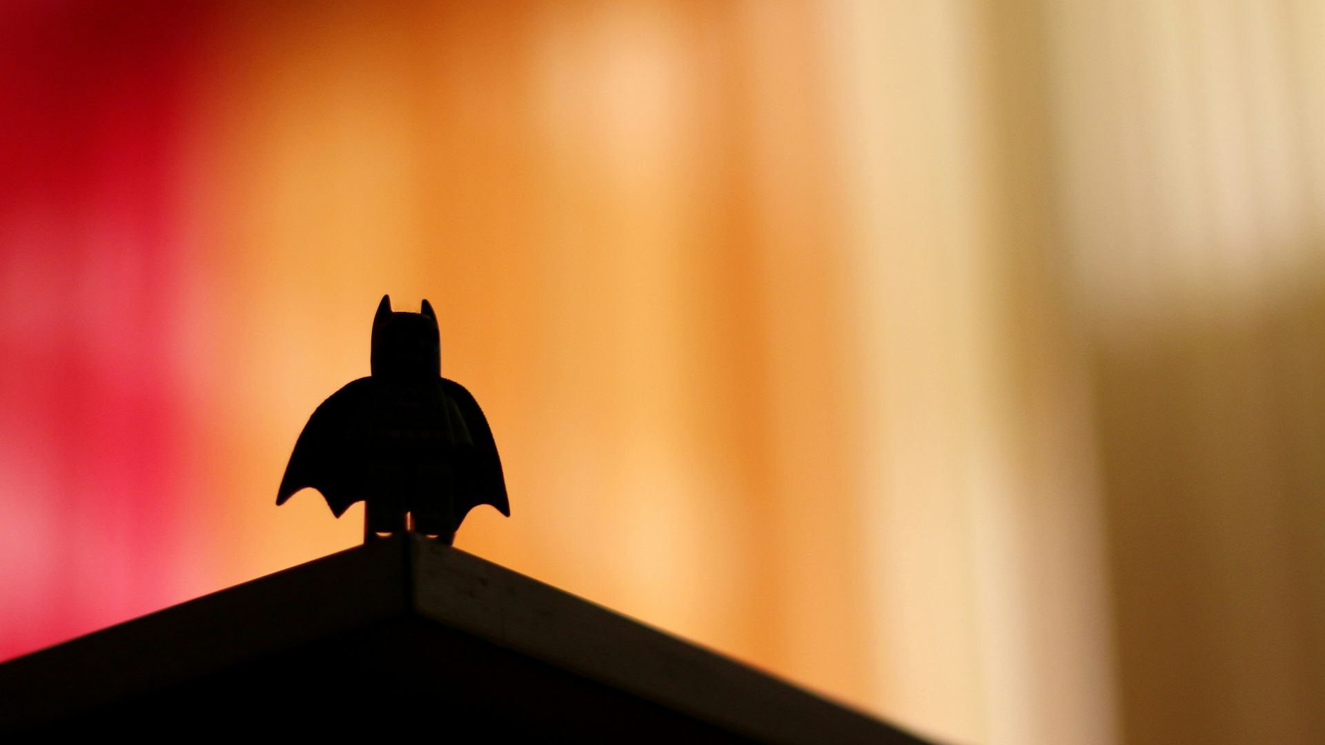 silhouette of bird on top of brown wooden shelf
