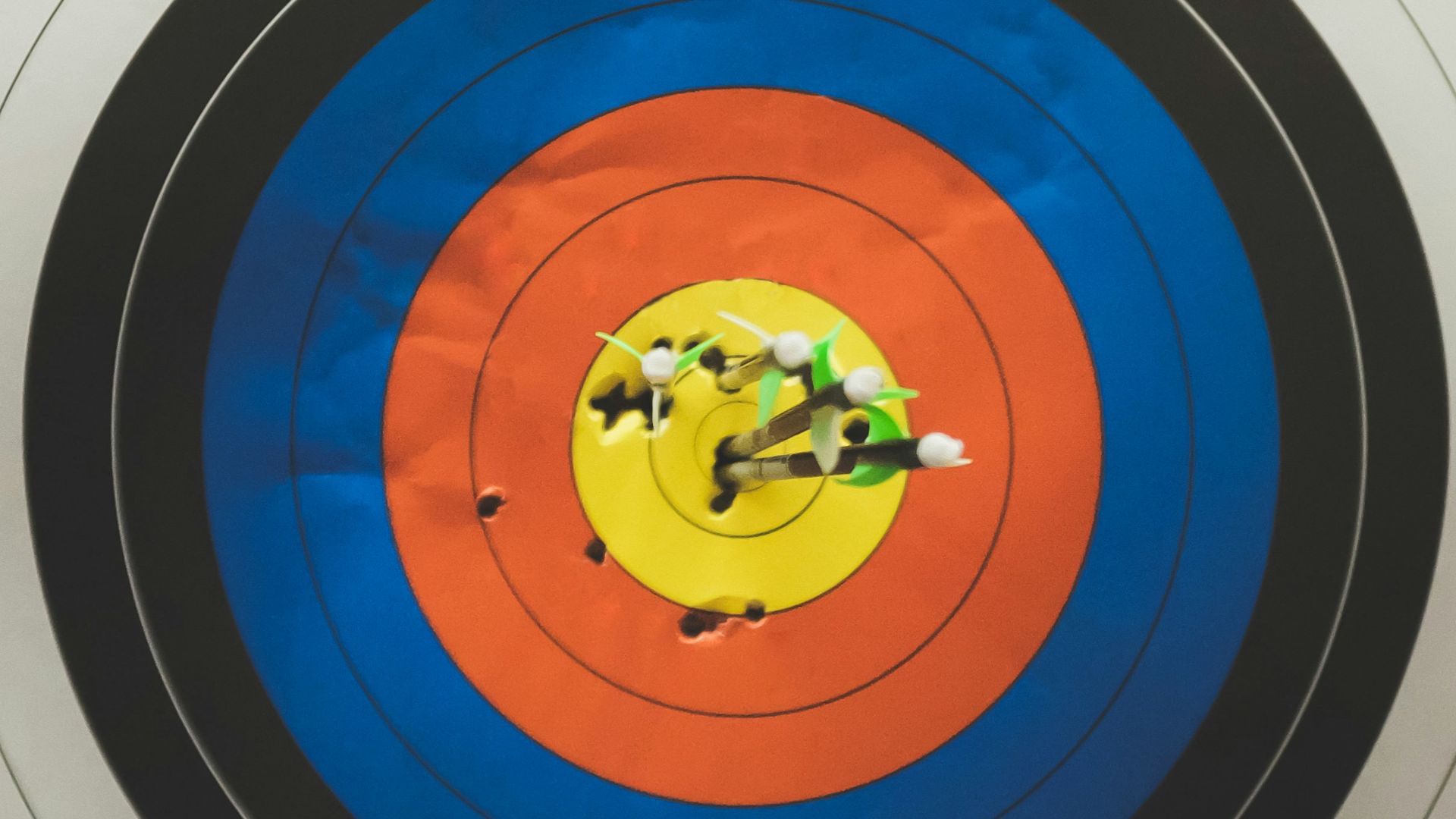 arrows in shooting target