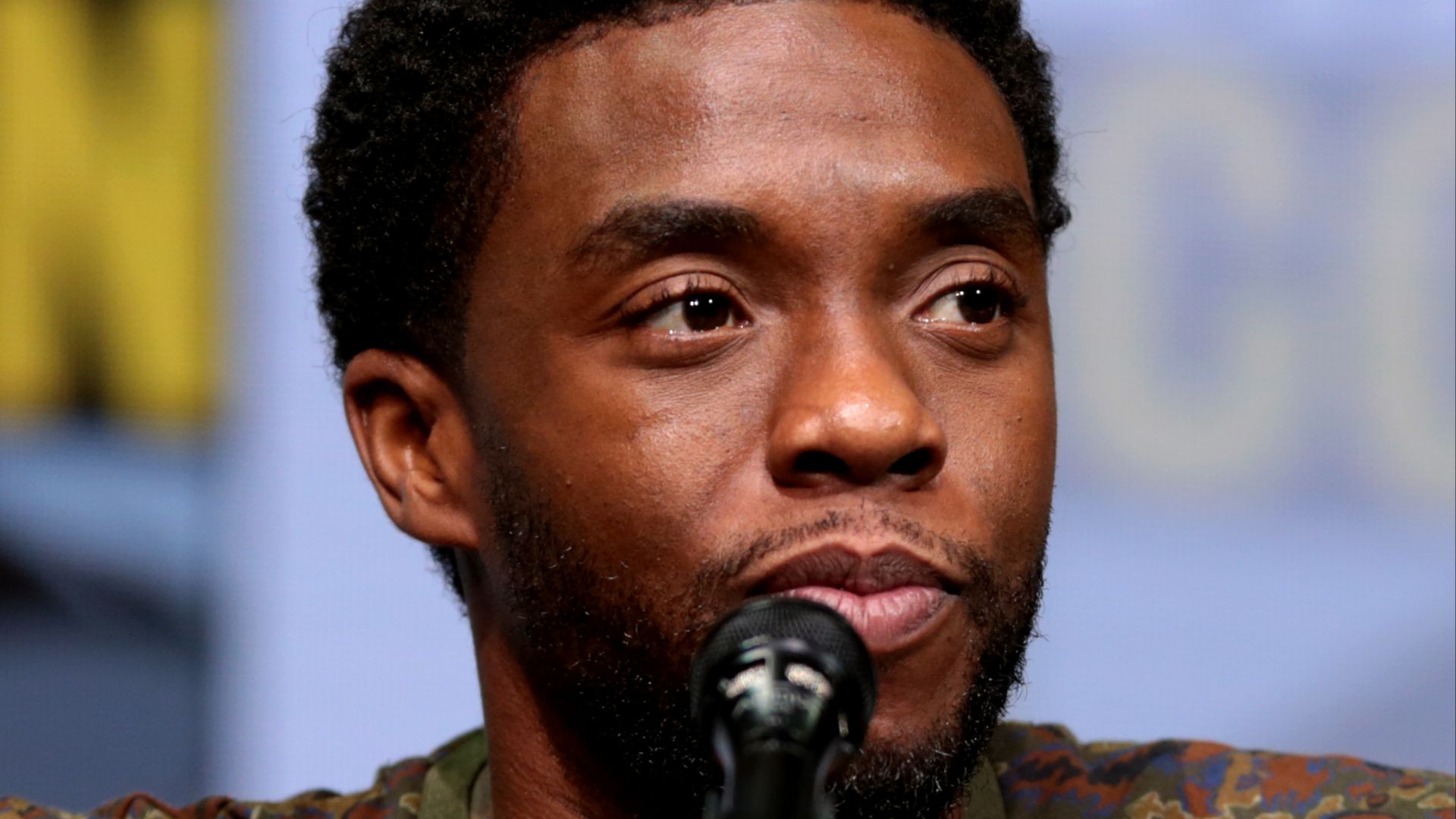 File:Chadwick Boseman by Gage Skidmore July 2017 (cropped).jpg