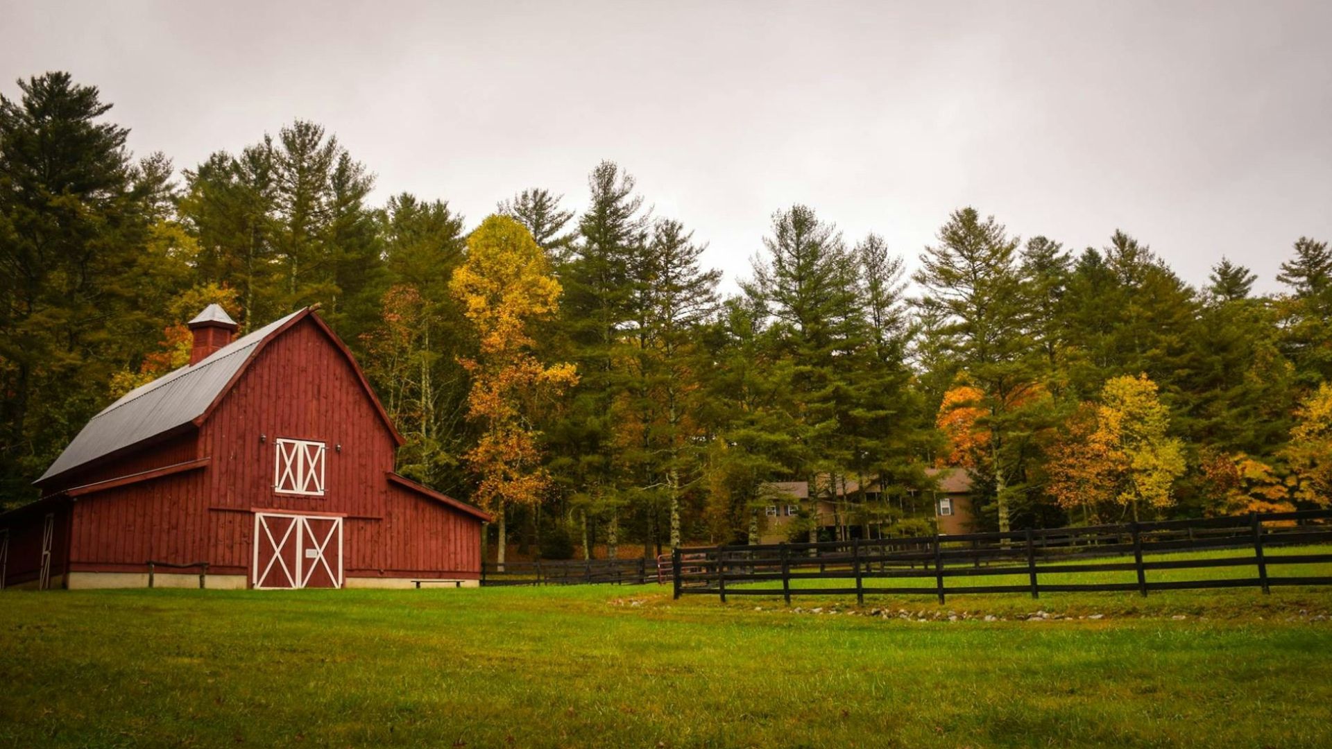 barn surrounded by trees