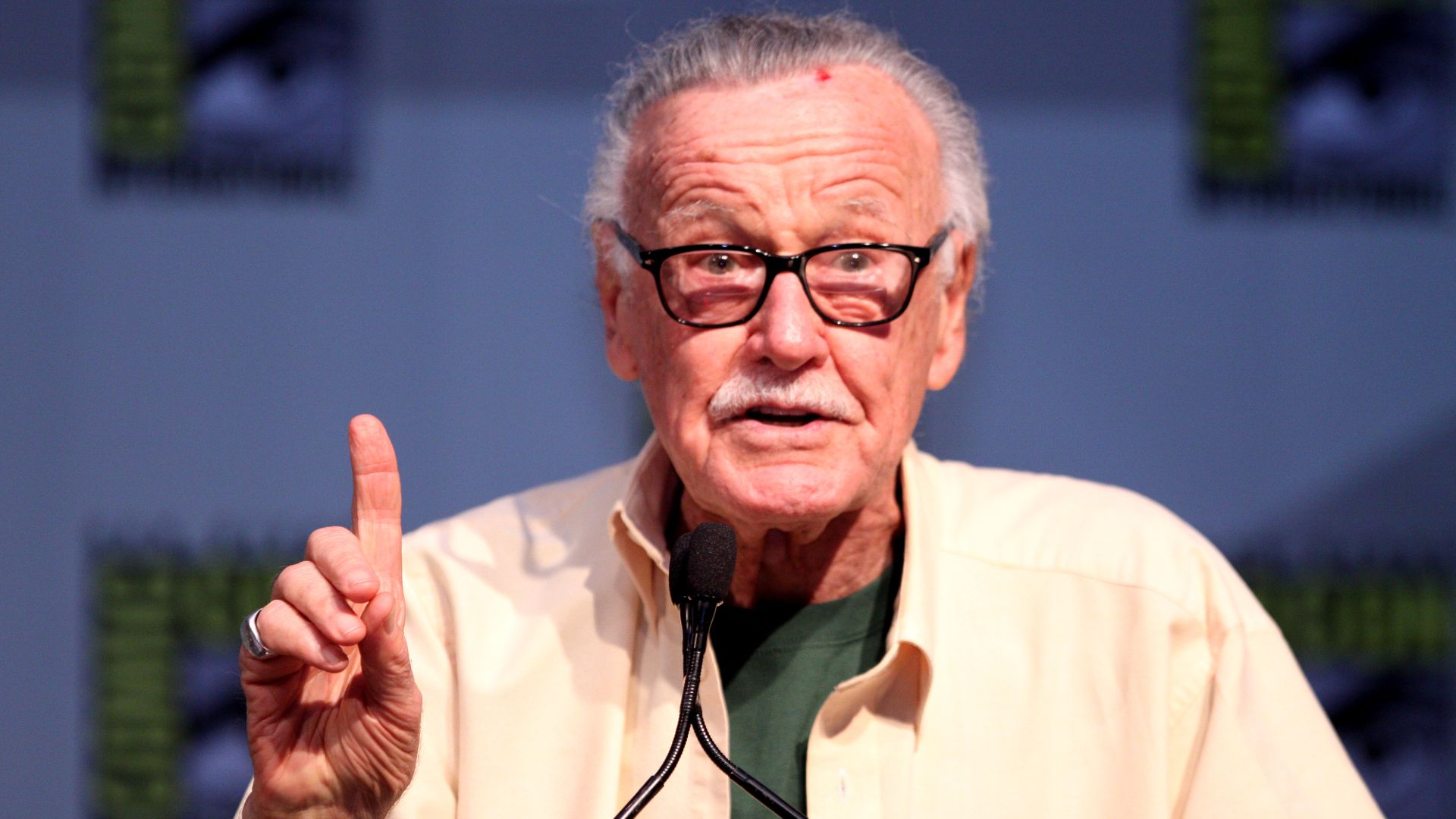 File:Stan Lee (4842306420).jpg