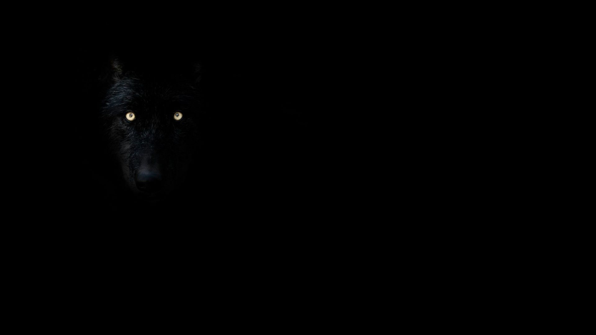 black and white eye illustration