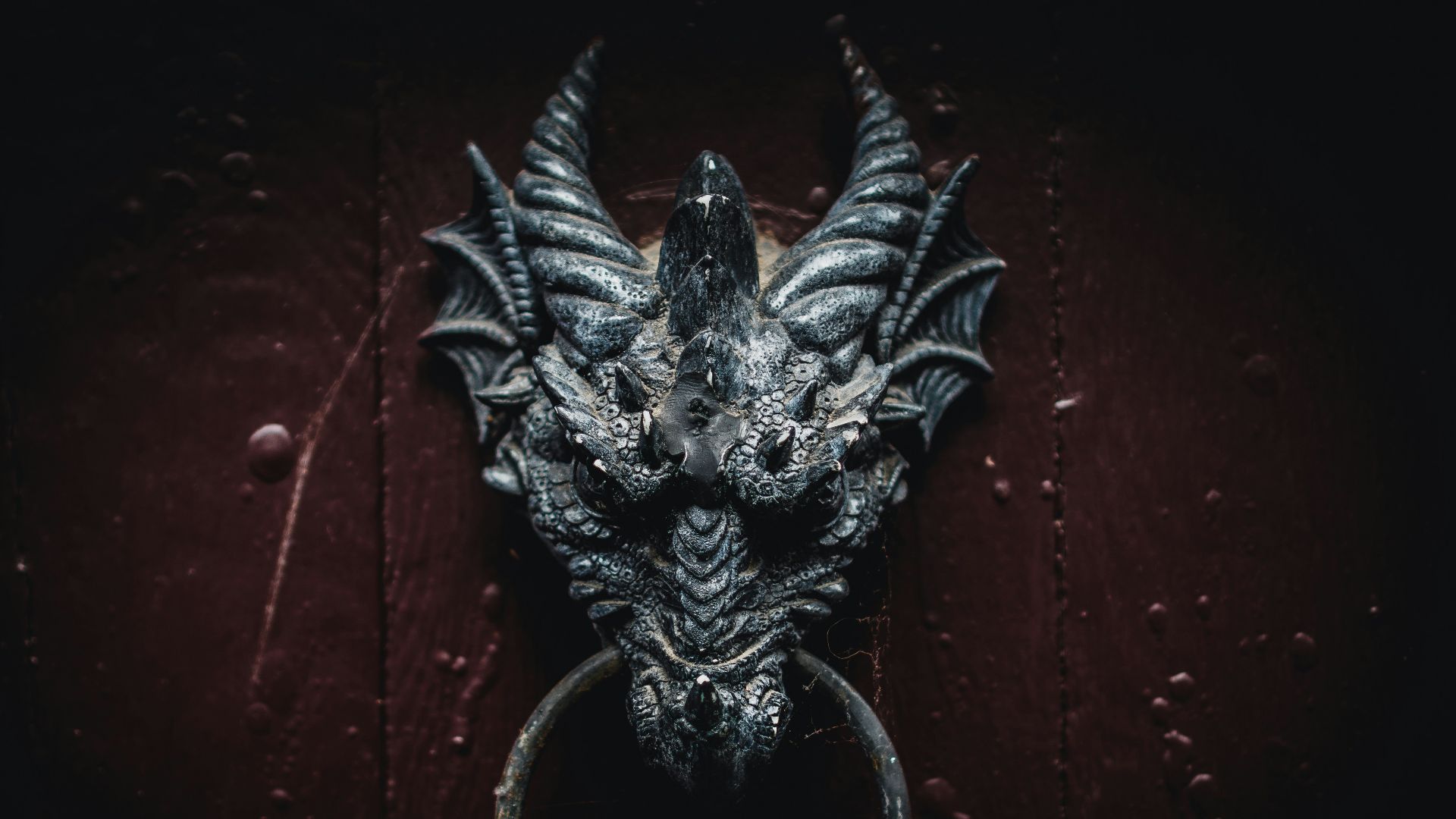 black dragon head wall decor