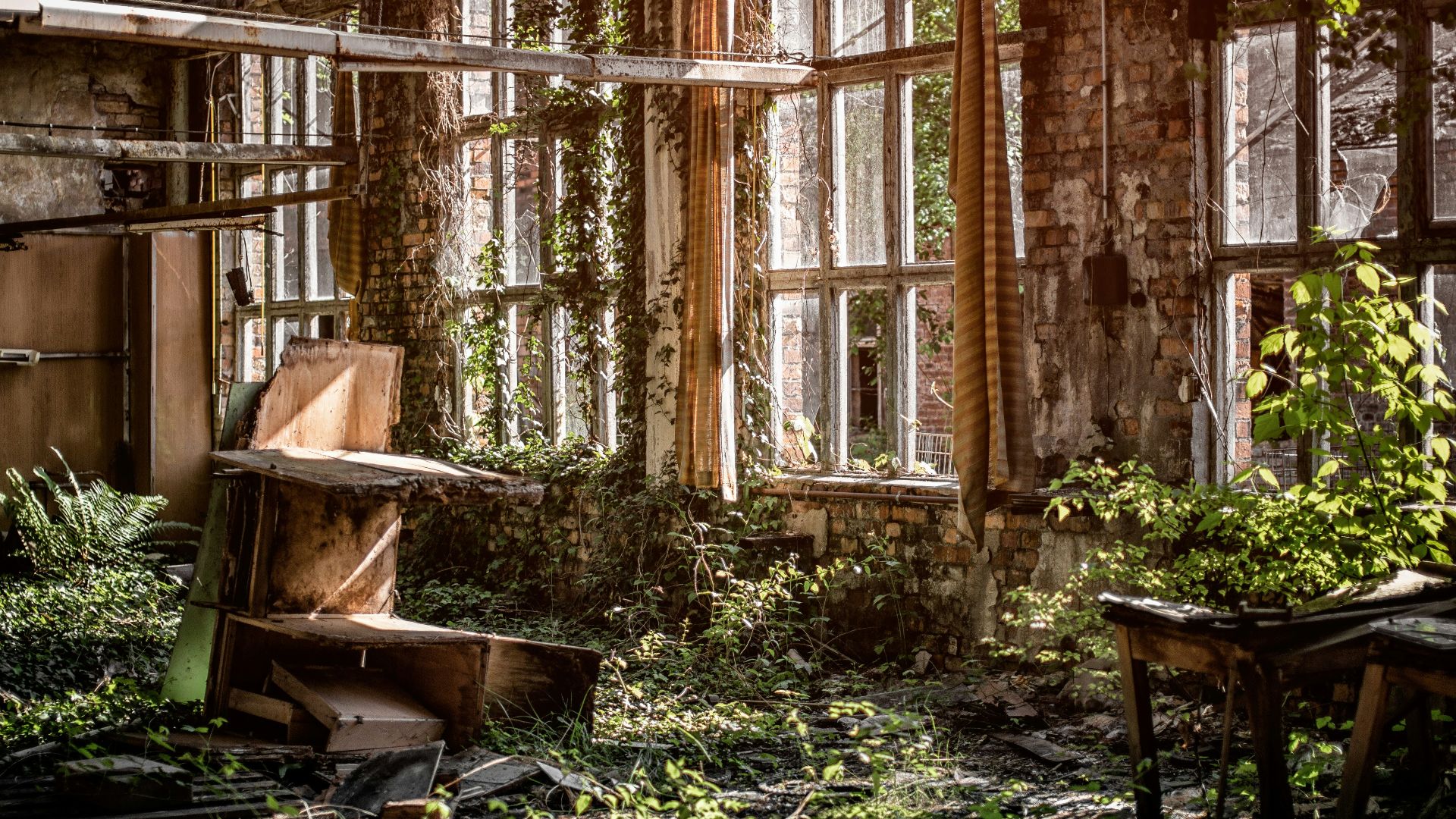 brown wooden table in room with leaves