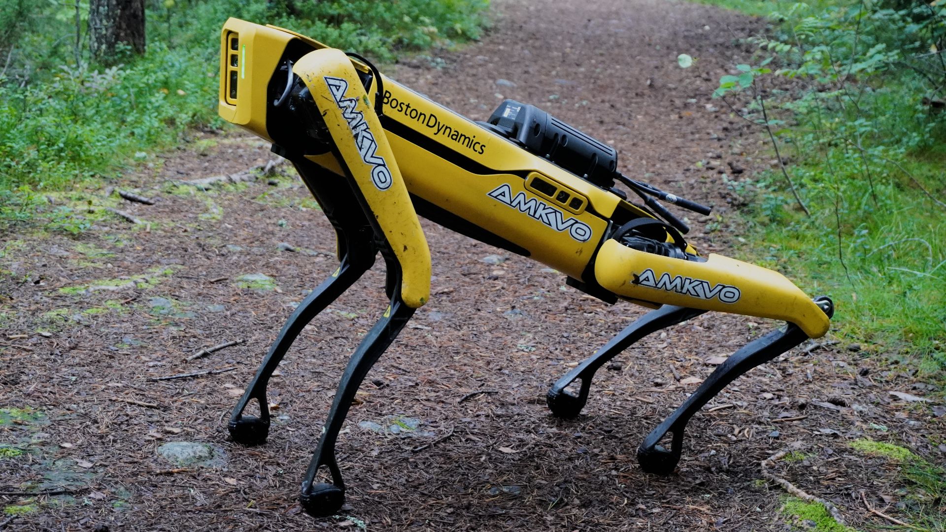 File:Spot by Boston Dynamics.jpg