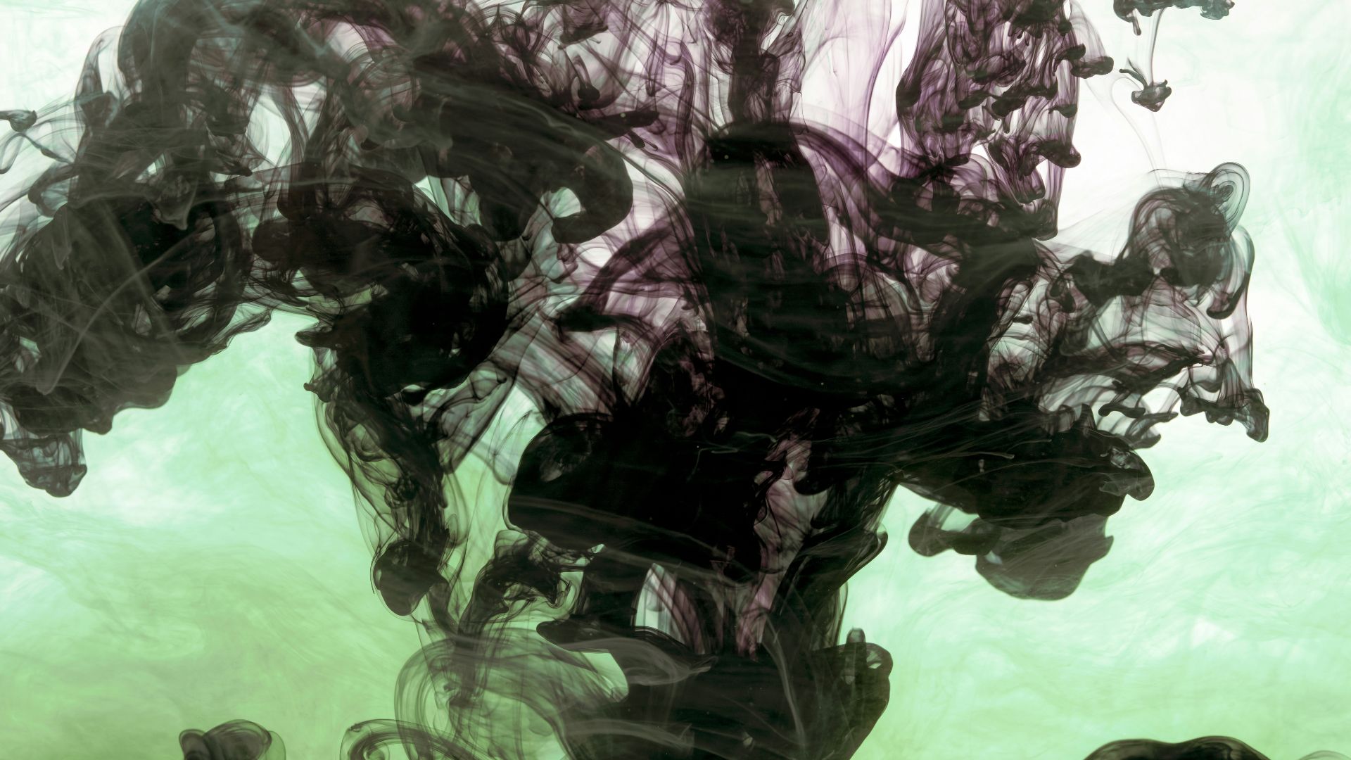 a painting of black ink floating in water