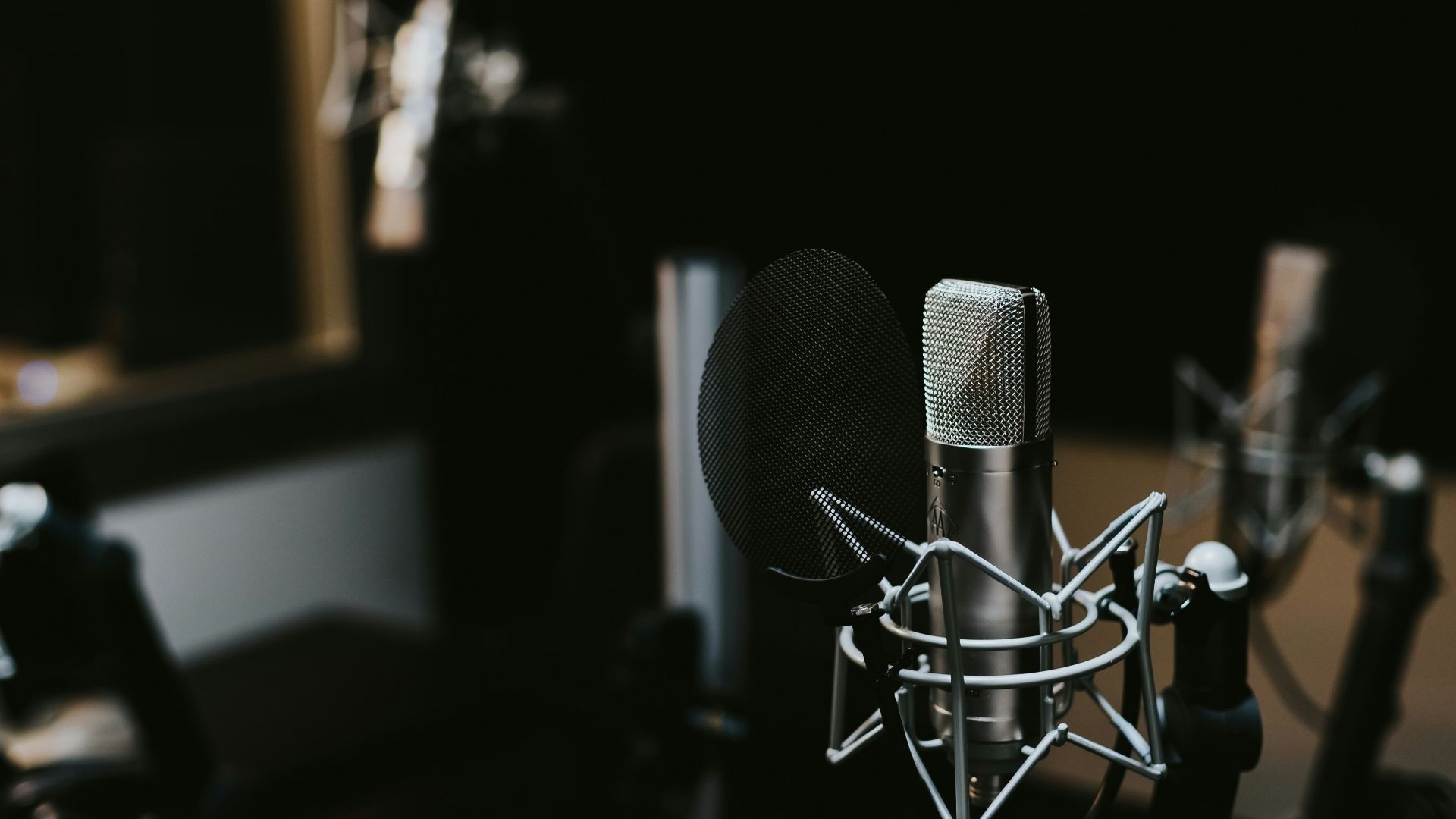 macro photography of silver and black studio microphone condenser
