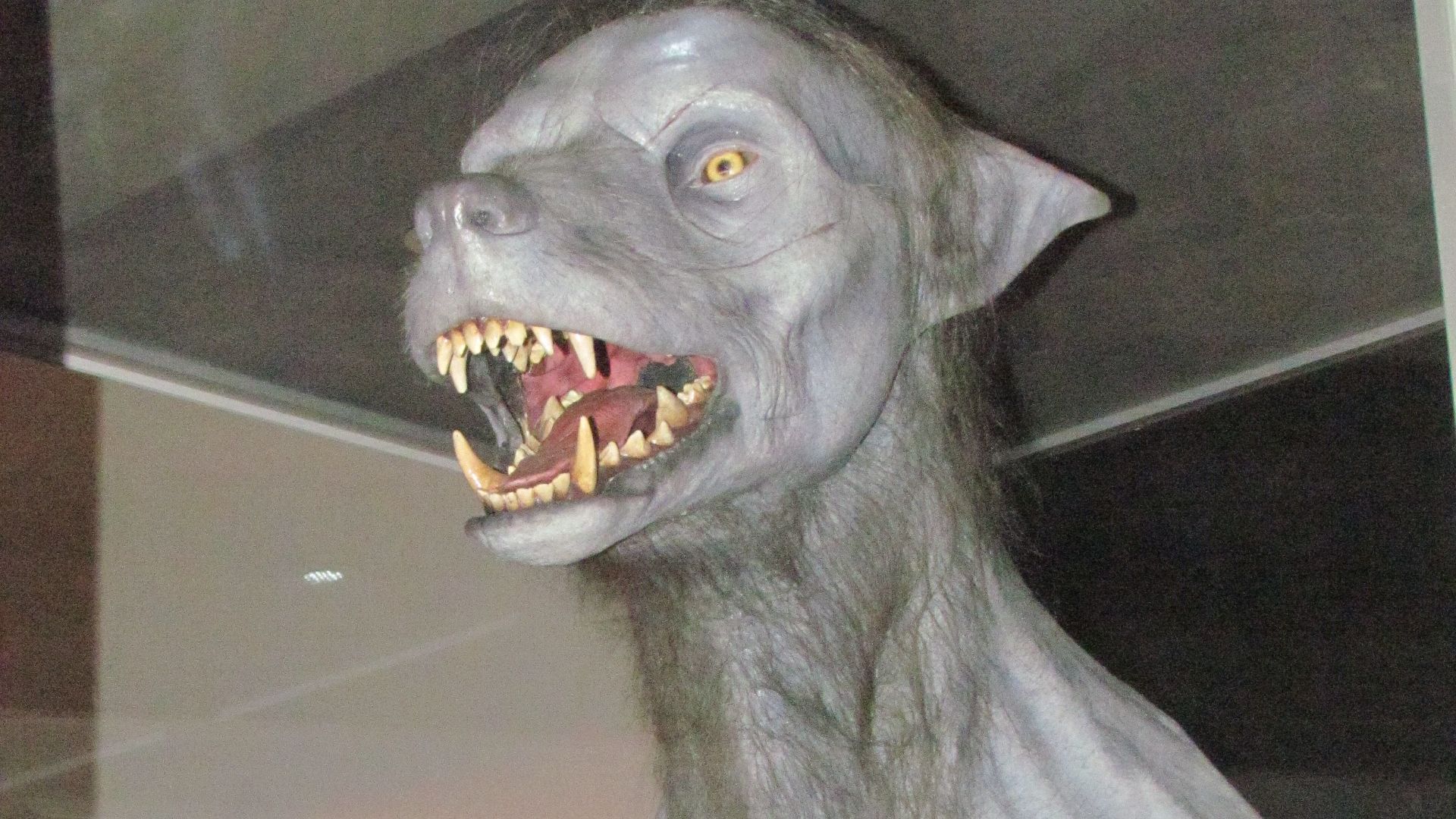 File:Werewolf (Harry Potter).jpg