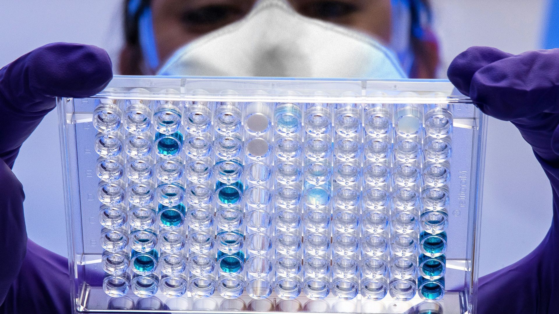 black and yellow plastic toy