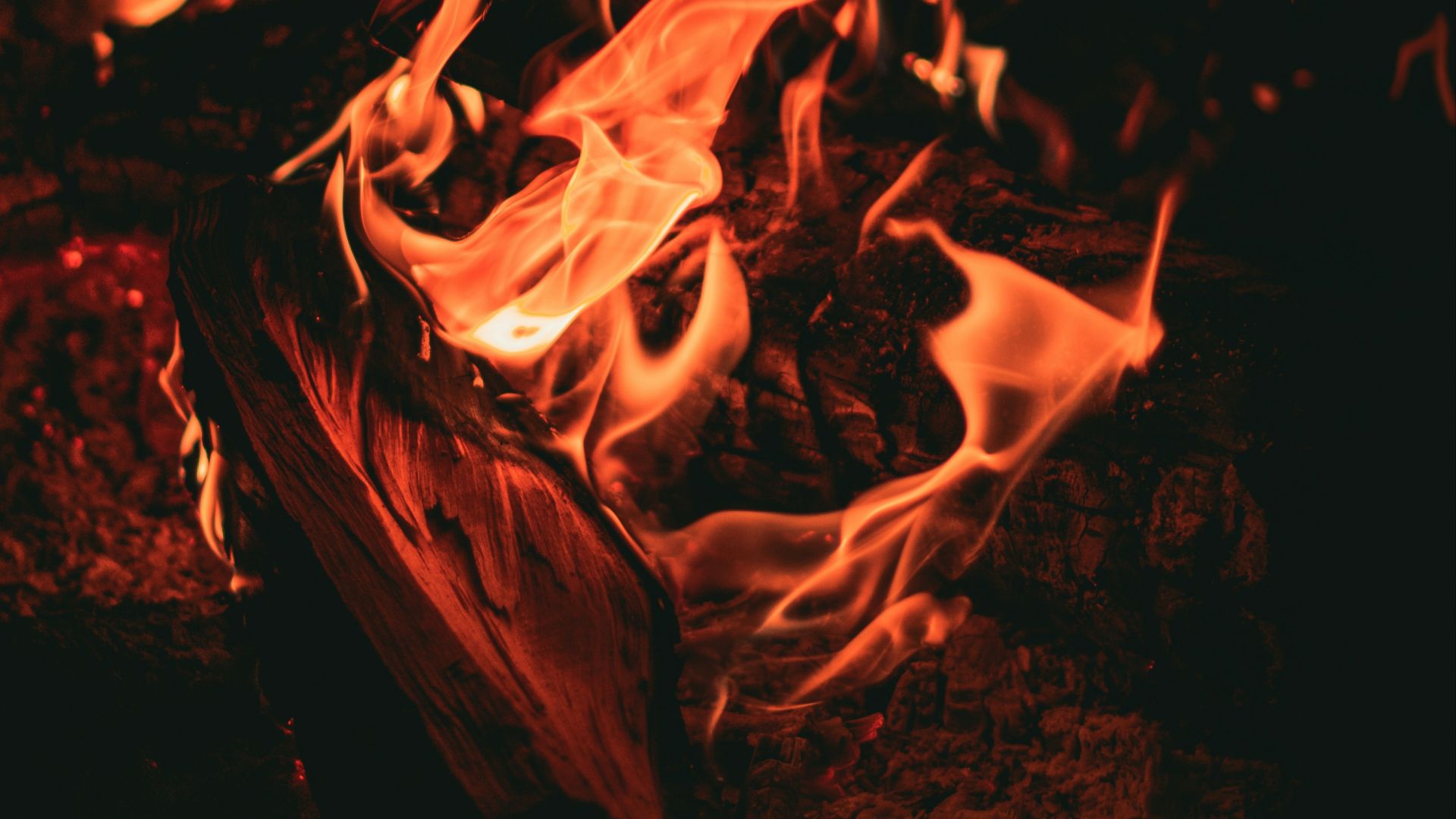 fire in the dark during night time