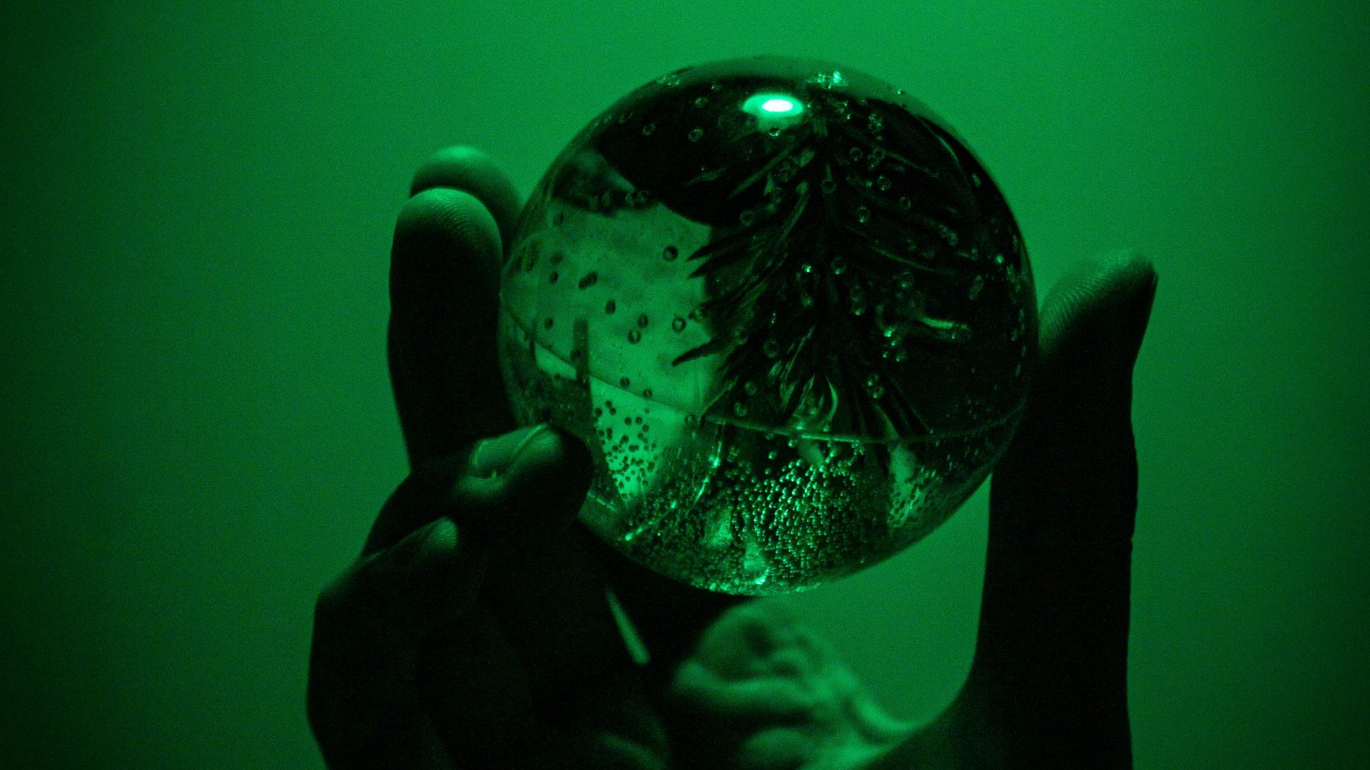 a person holding a glass