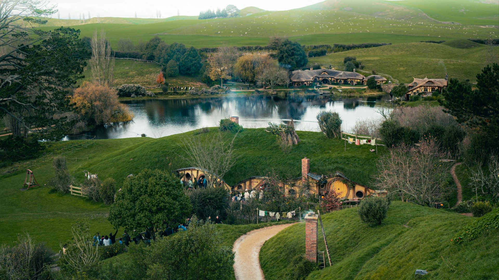 A lush green hillside covered in lots of trees