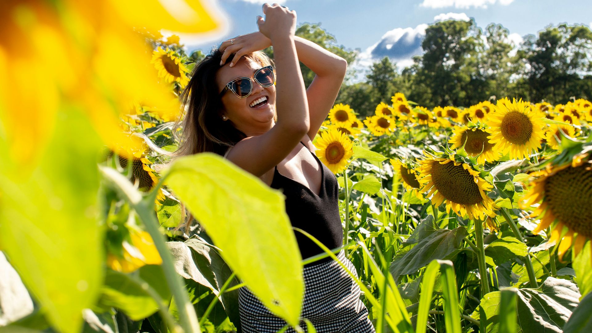 unknown person standing on yellow sunflower field