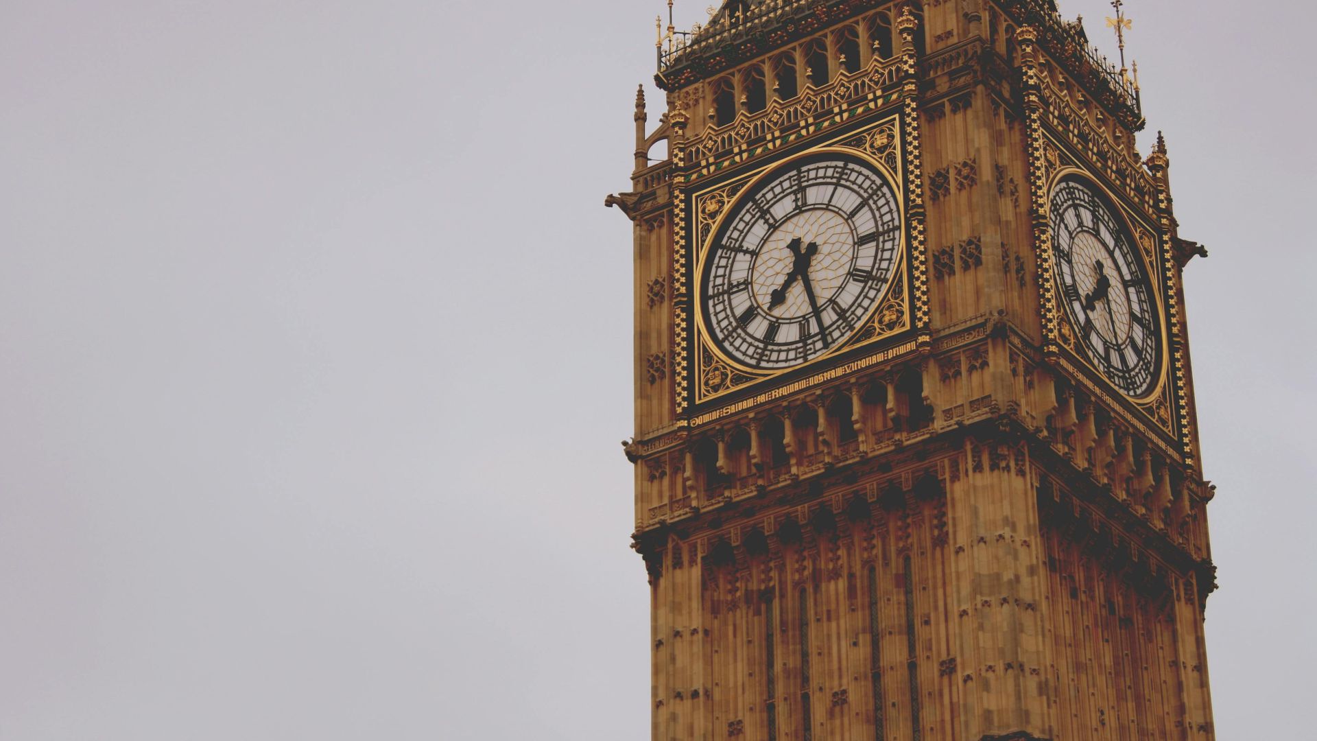 Dominika Gregušová