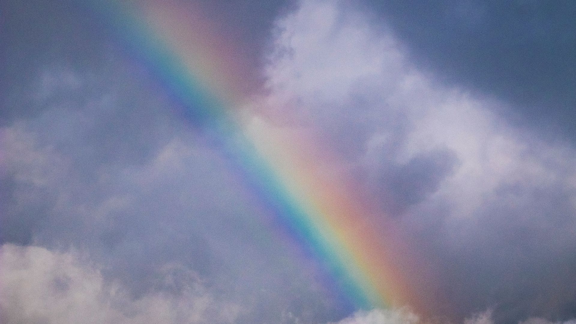 rainbow during daytime