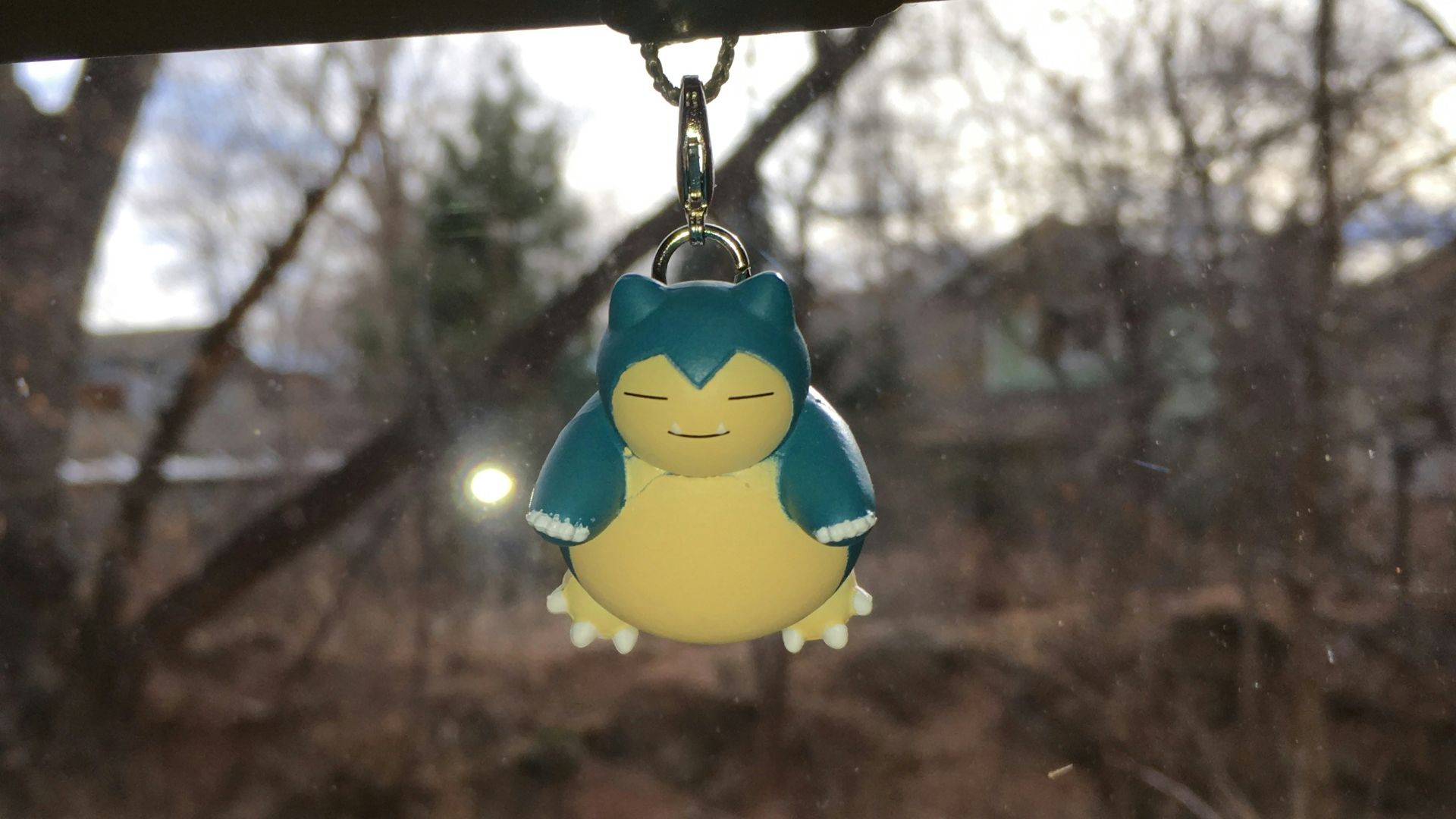 A window with a bird hanging from it's side