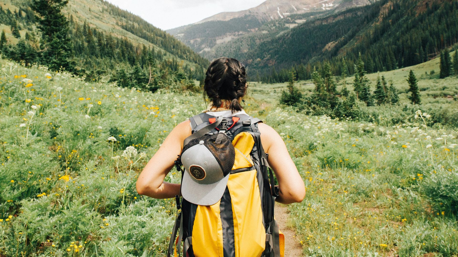 person carrying yellow and black backpack walking between green plants