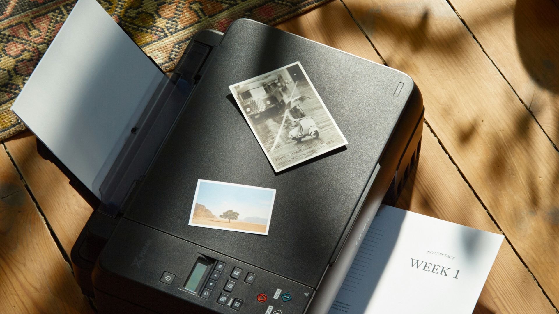 a printer sitting on top of a wooden floor next to a potted plant
