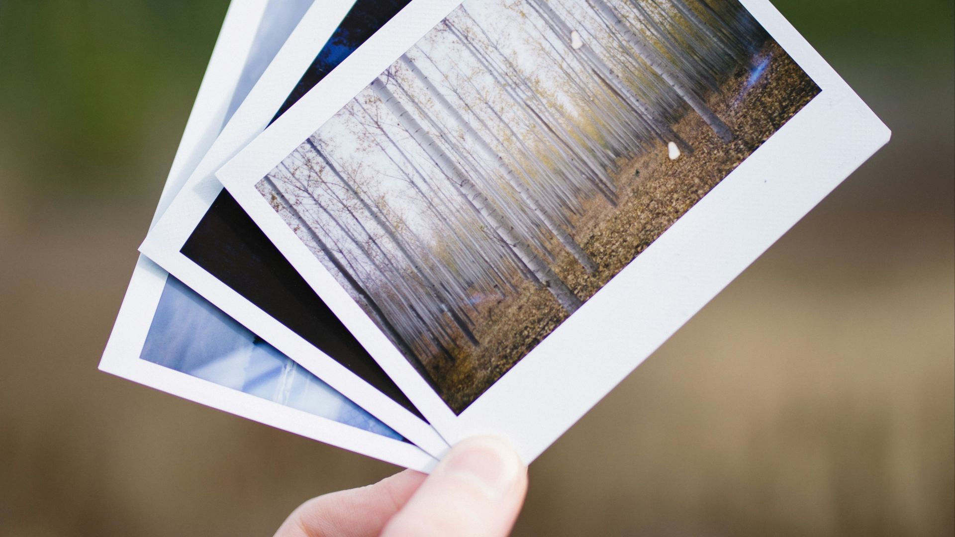 person holding three assorted pictures