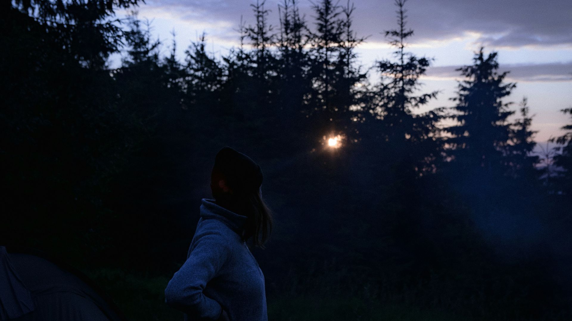 person in blue hoodie standing on green grass field during night time