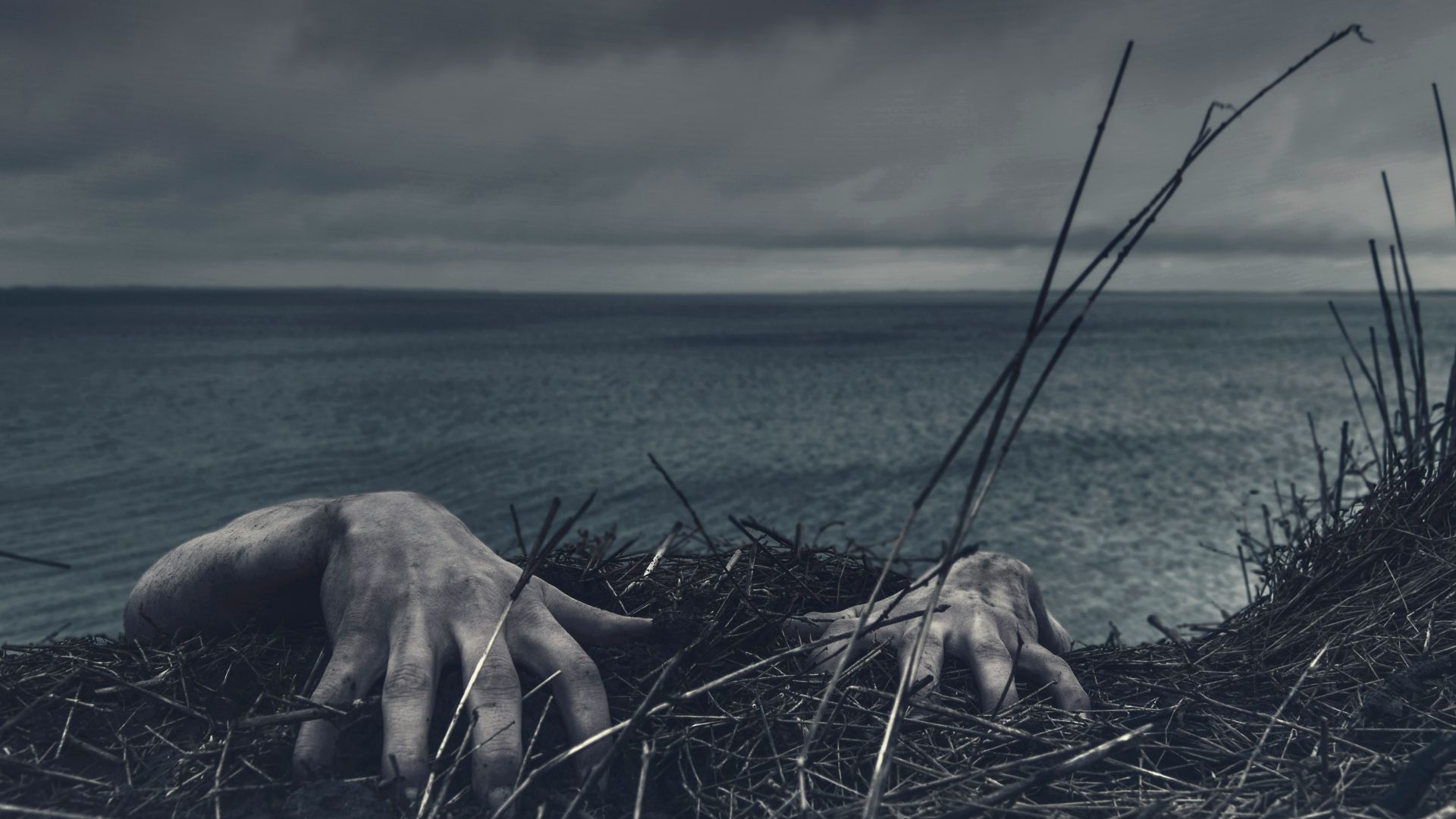 closeup photo of person's hand