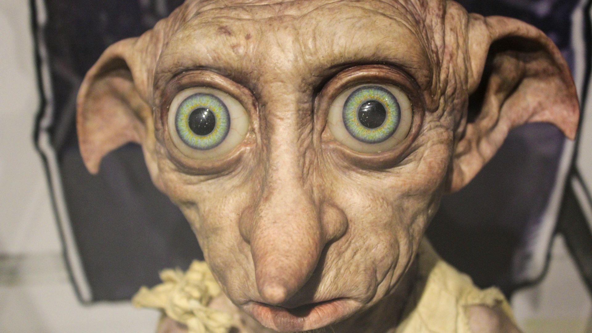 man in white shirt wearing brown hat